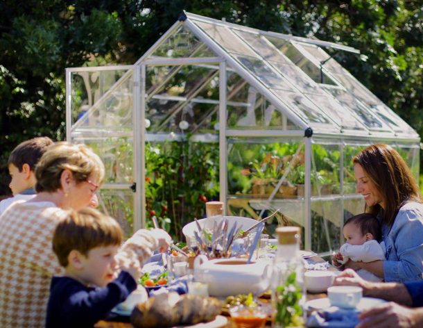 Greenhouse Harmony 6' x 8' Kit - Silver Structure & Clear Glazing