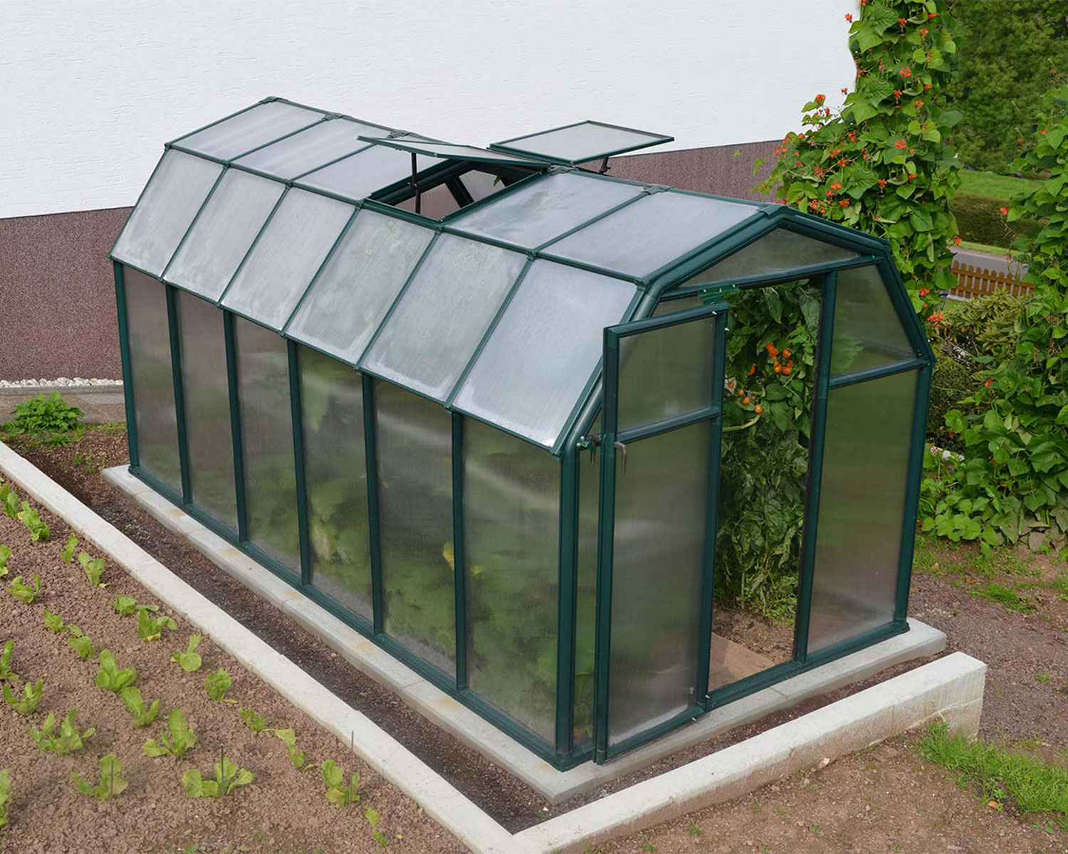 Greenhouse EcoGrow 6&#039; x 12&#039; Green Structure &amp; Twinwall Glazing