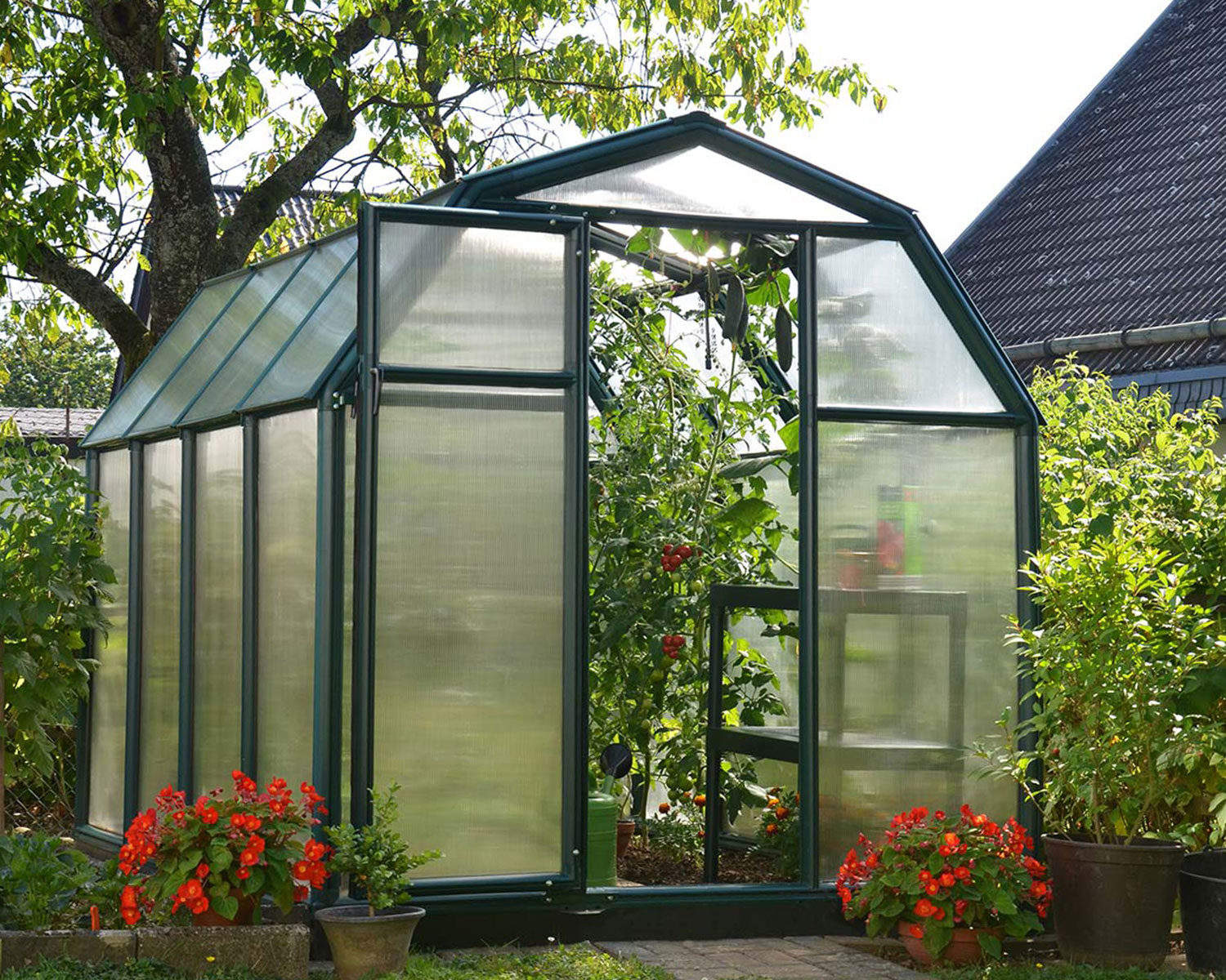 Greenhouse EcoGrow 6' x 8' Kit - Green Structure & Twinwall Glazing