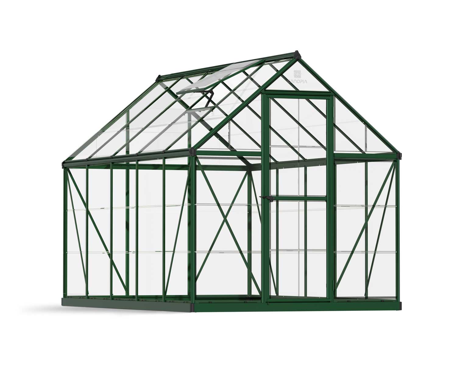 Harmony 6ft x 10ft green greenhouse with a clear frame and polycarbonate panels, highlighting its spacious design