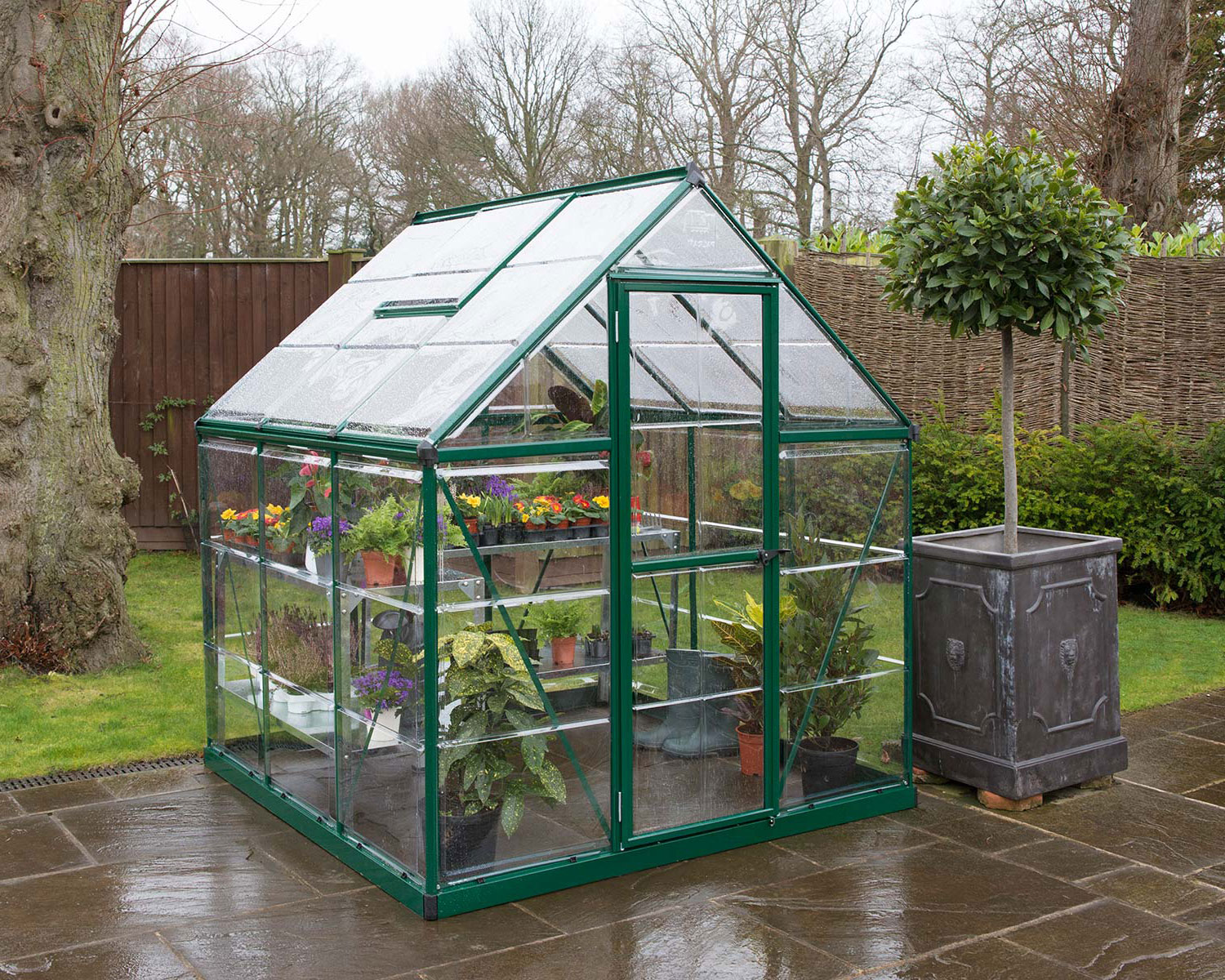 Greenhouse Harmony 6&#039; x 6&#039; Green Structure &amp; Clear Glazing