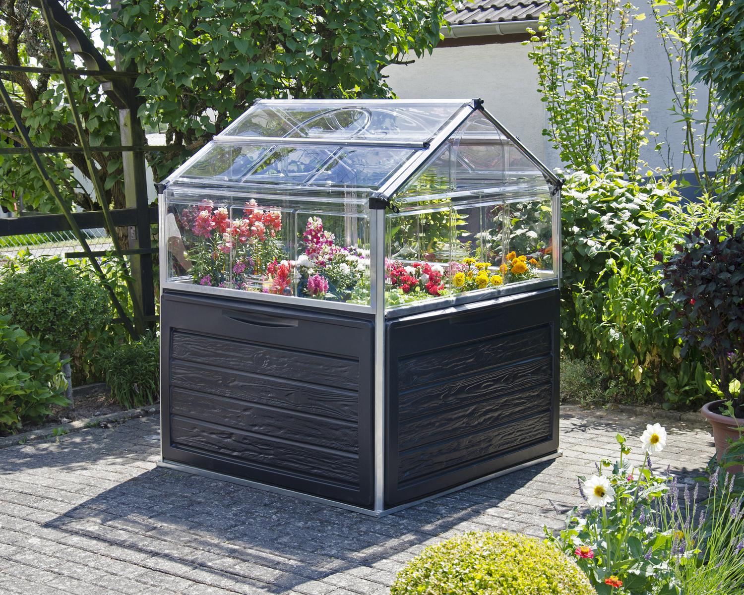 Plant Inn 4 ft. x 4 ft. Greenhouse Silver Structure &amp; Clear Panels full of flowers