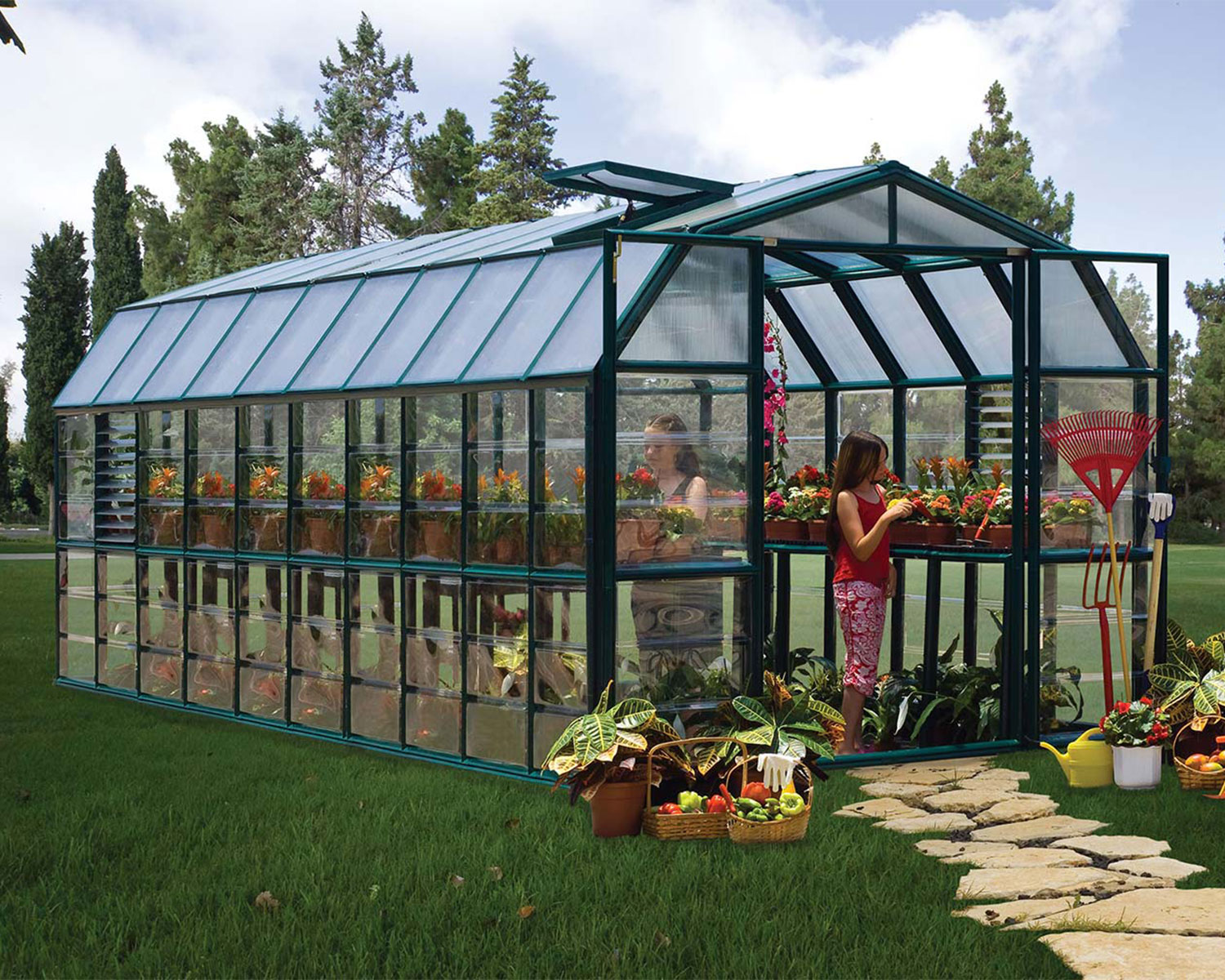Prestige 8 ft. x 20 ft. Greenhouse Green Structure &amp; Clear Wall Panels growing plants