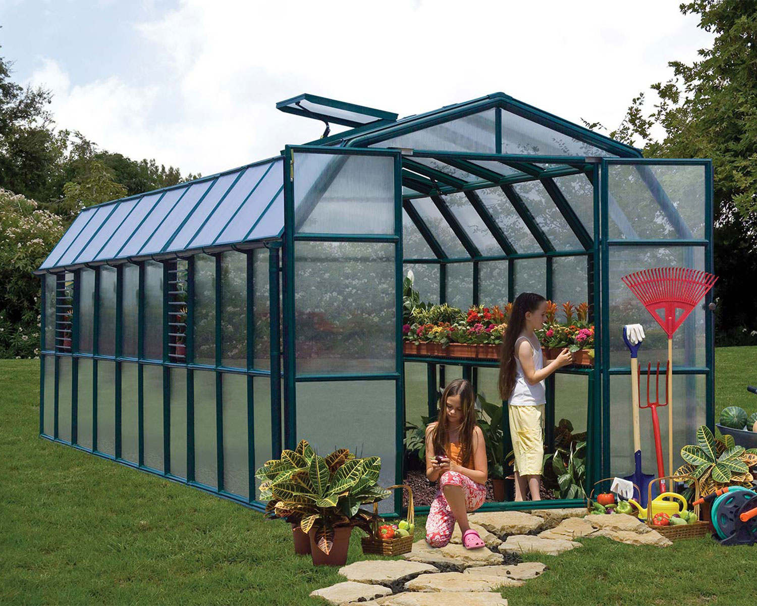 Greenhouse Prestige 8 ft. x 20 ft. Green Structure &amp; Twin Wall Panels growing plants