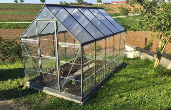 Choose the Right Polycarbonate Greenhouse