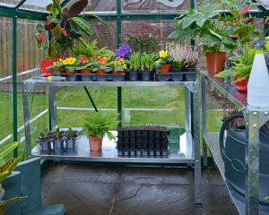 6 STEPS HOW TO BUILD A GREENHOUSE - Canopia