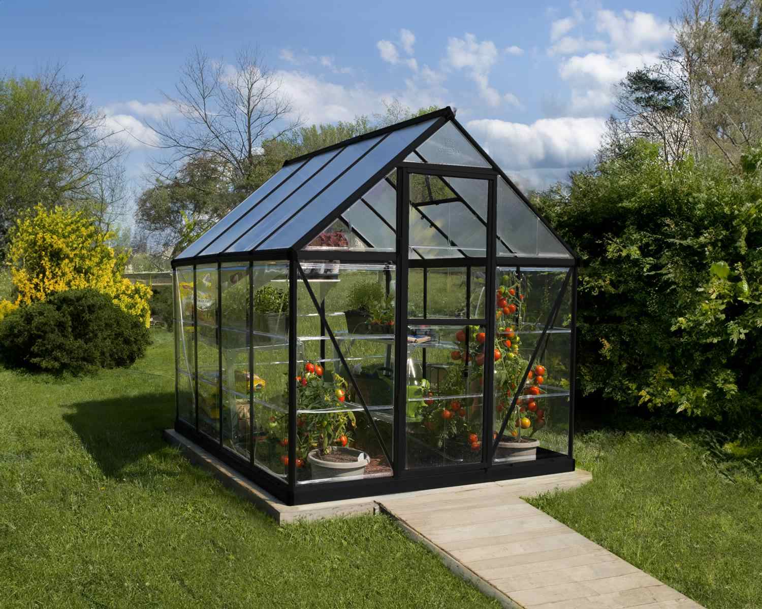 6ft x 8ft Hybrid black greenhouse with clear polycarbonate panels and a strong aluminum frame, set in a garden with lush plants