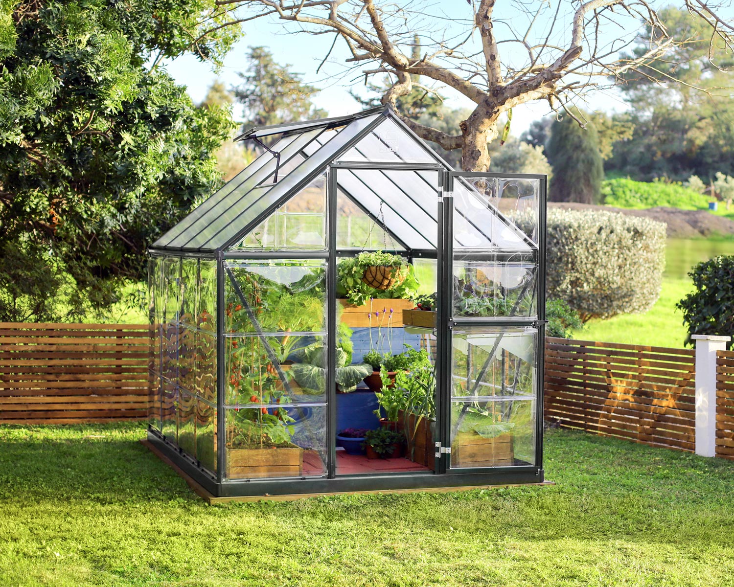 6ft x 8ft Hybrid grey greenhouse with clear polycarbonate panels and aluminum frame, set in a garden with plants, next to a shed