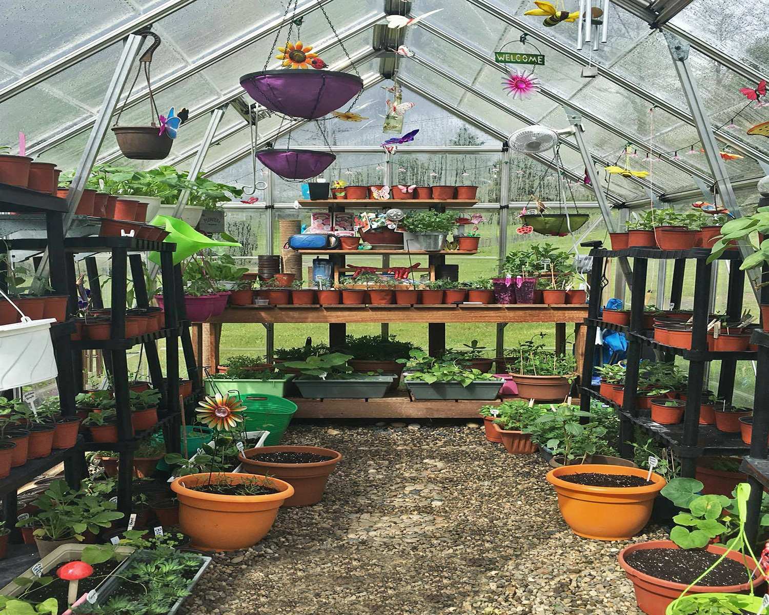 Octave 8ft x 12ft greenhouse with a silver frame and clear polycarbonate panels, designed for durability and optimal light diffusion