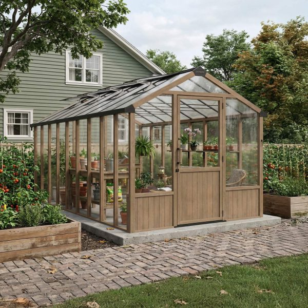 Garden,  Gardening,  Nature,  Outdoors
Garden,  Gardening,  Nature,  Outdoors