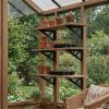 Palram Canopia Greenhouses Accessories Wooden Shelf Kit X3 Main 1