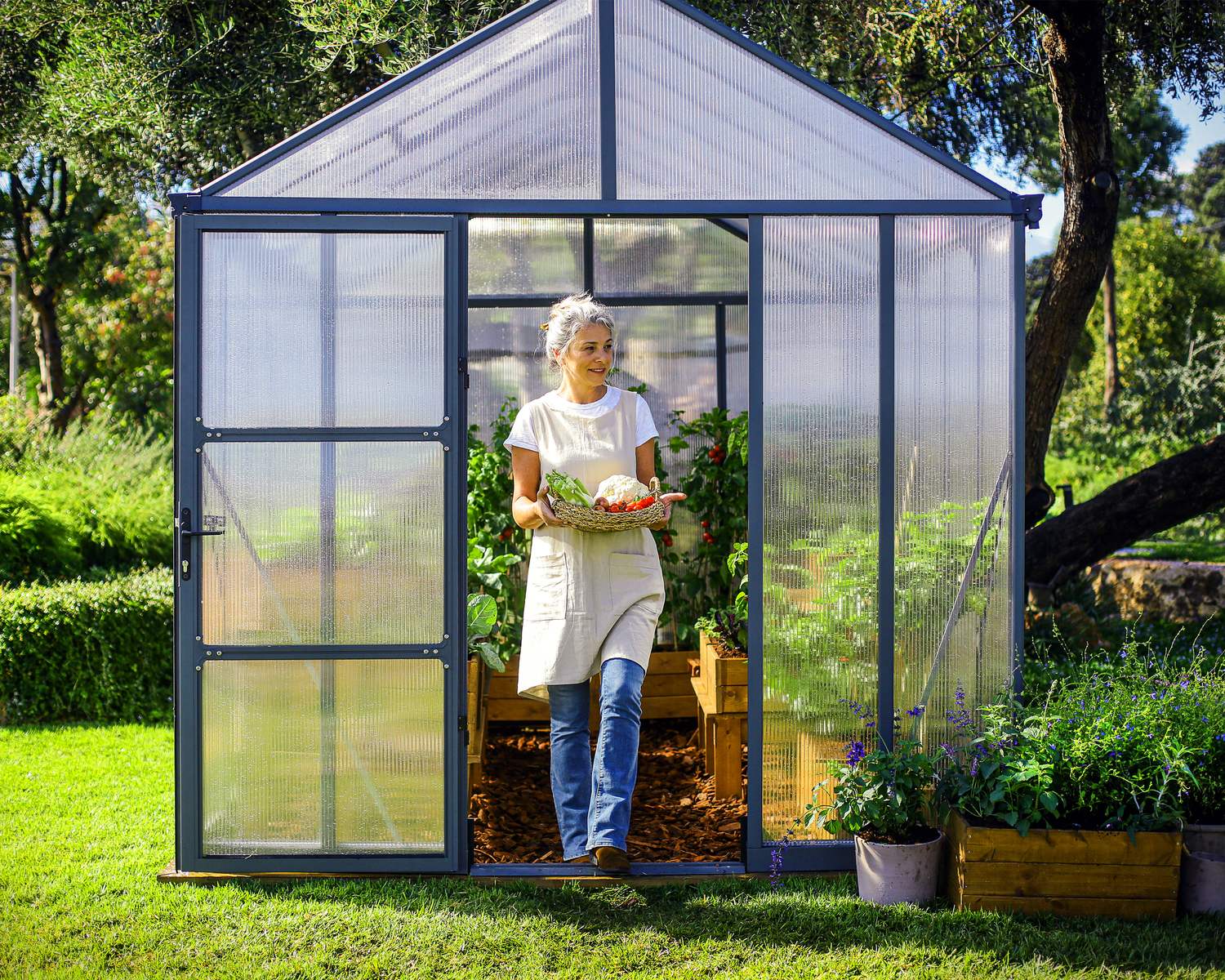 8ft x 8ft grey Glory greenhouse with a durable aluminum frame and multi-wall polycarbonate panels, surrounded by lush greenery