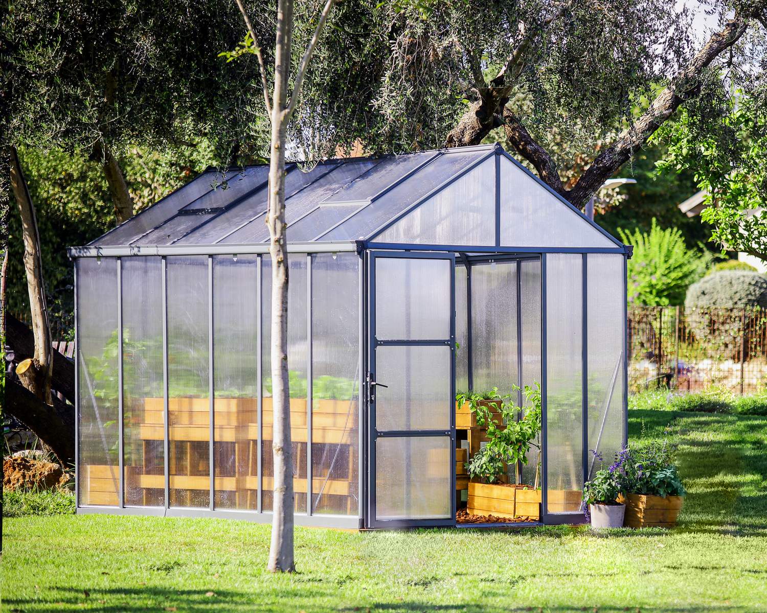 8ft x 12ft grey Glory greenhouse with a durable aluminum frame and multi-wall polycarbonate panels, brimming with plants, nestled in a lush garden
