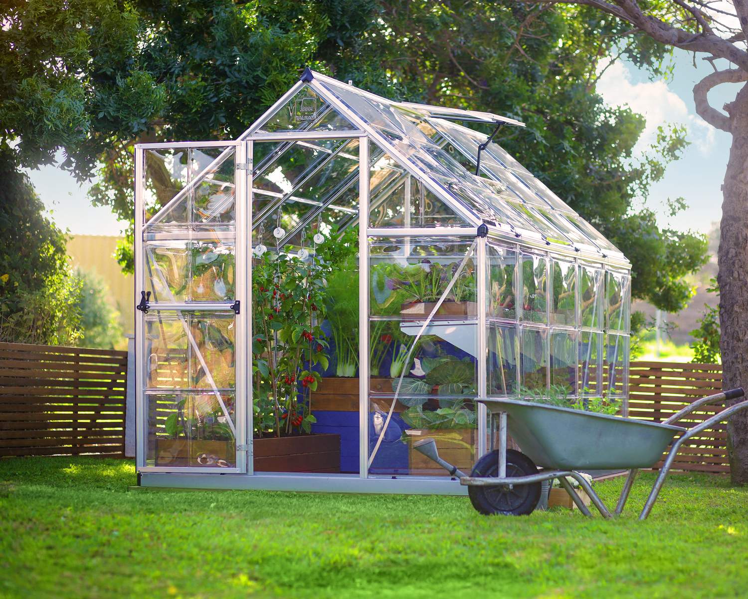 6ft x 10ft silver Harmony greenhouse with clear polycarbonate panels and an aluminum frame, with plants and a wheelbarrow in a sunny garden