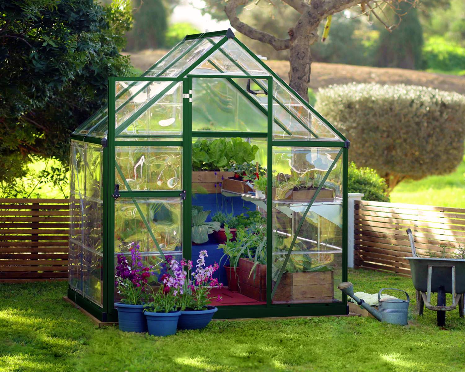 6ft x 4ft green Harmony greenhouse with clear polycarbonate panels, set in a sunny garden with plants, wheelbarrow, and watering can