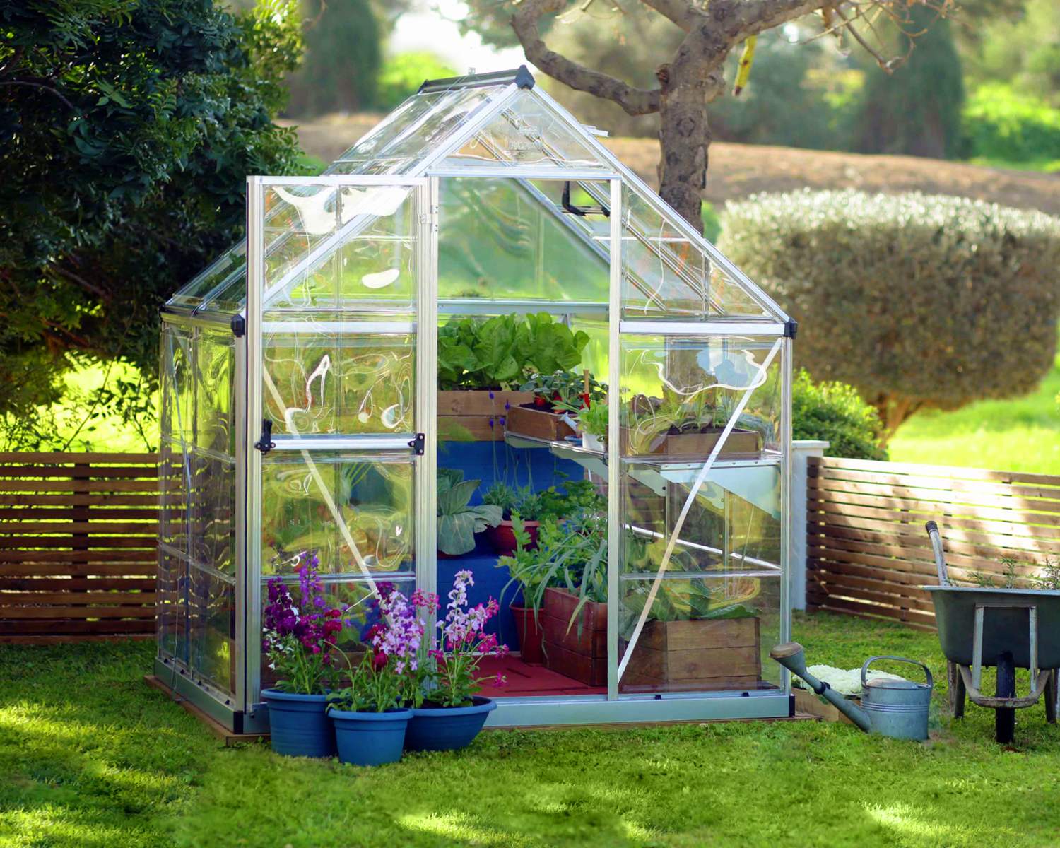 6ft x 4ft silver Harmony greenhouse with clear polycarbonate panels and an aluminum frame, placed in a sunny garden with lush greenery
