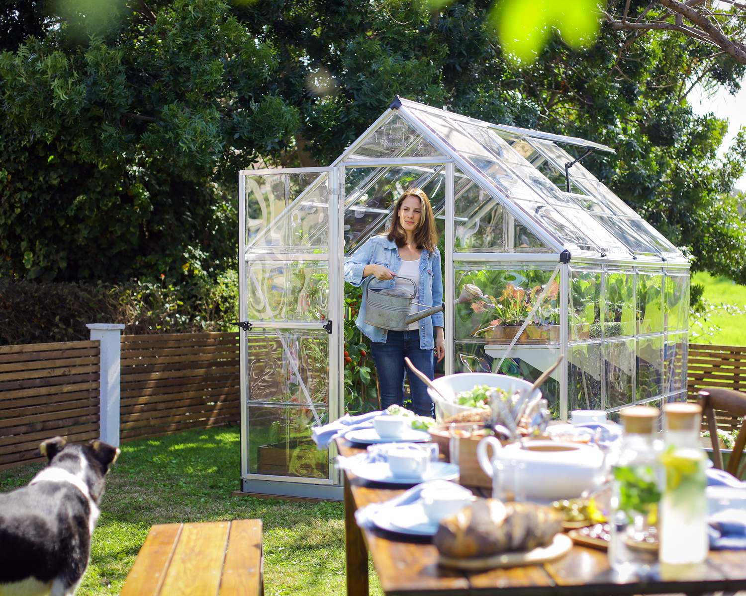 6ft x 8ft silver Harmony greenhouse with clear polycarbonate panels and an aluminum frame, set in a garden with flowers and greenery