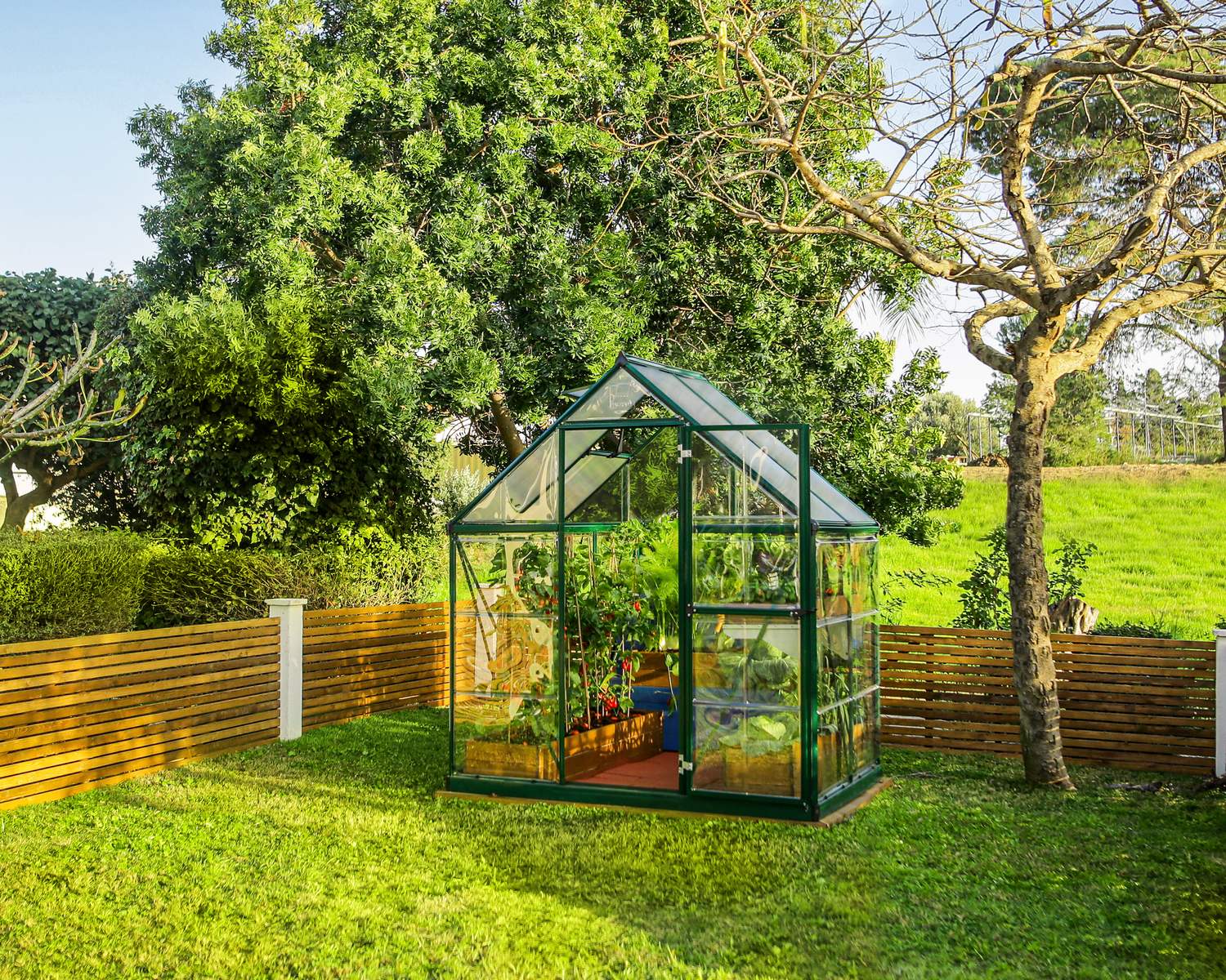 6ft x 4ft green Hybrid greenhouse with an aluminum frame and clear polycarbonate panels, set on a garden patio with plants inside