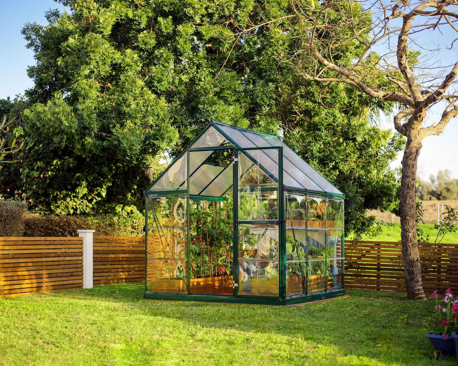 6ft x 6ft green Hybrid greenhouse with clear polycarbonate panels and an aluminum frame, surrounded by a lush garden filled with vibrant plants