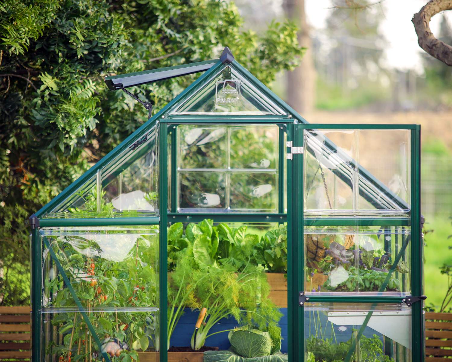 6ft x 4ft green Hybrid greenhouse with an aluminum frame and clear polycarbonate panels, set on a garden patio with plants inside