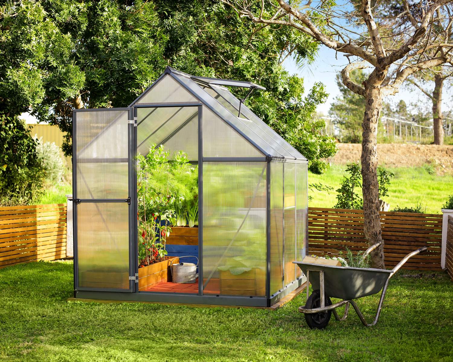 6ft x 6ft grey Mythos greenhouse with multi-wall polycarbonate panels and an aluminum frame, placed in a garden setting with plants around it