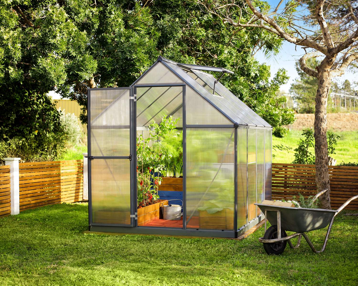 6ft x 8ft grey Mythos greenhouse with multi-wall polycarbonate panels and an aluminum frame, set in a backyard with lush plants surrounding it