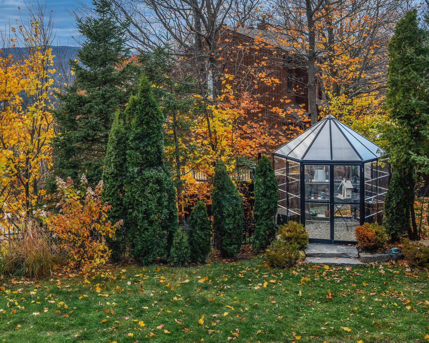 8ft grey Oasis greenhouse with aluminum frame and clear polycarbonate panels, filled with plants, near a garden pond