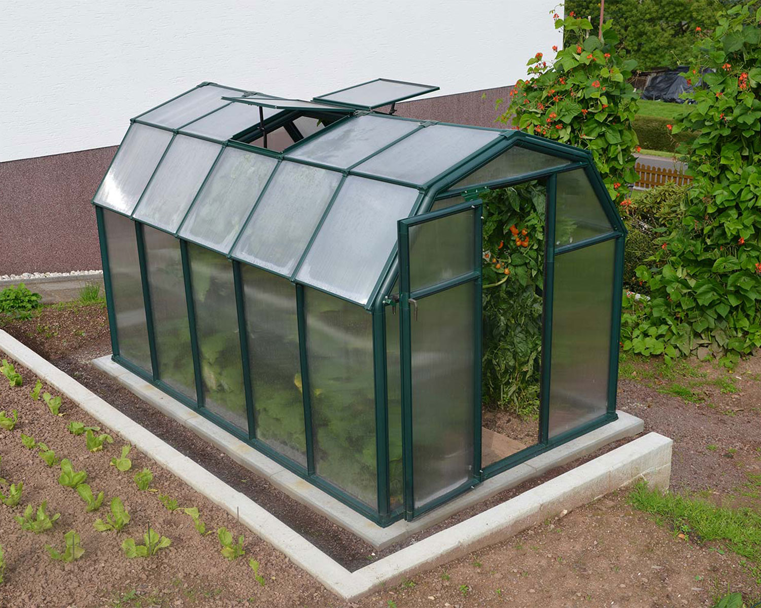 Greenhouse EcoGrow 6' x 10' - Green Structure & Twinwall Glazing