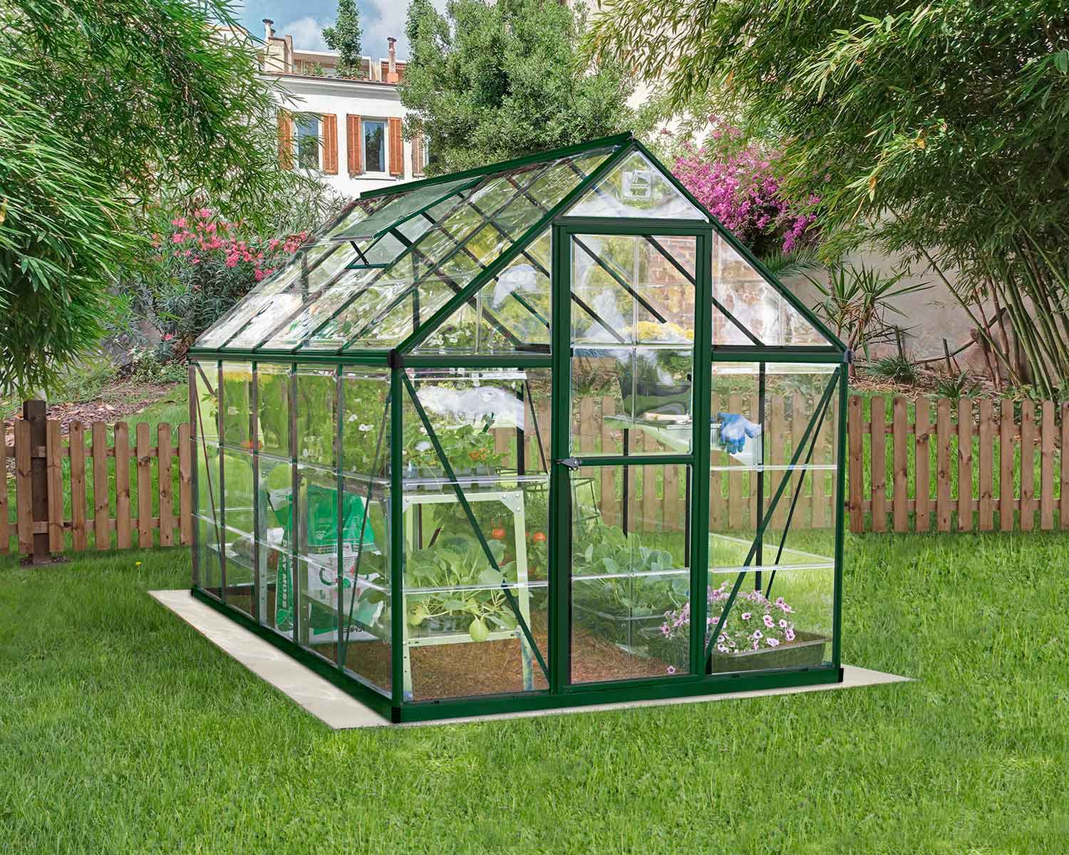 6ft x 10ft green Harmony greenhouse with clear polycarbonate panels and an aluminum frame, set in a garden with plants inside