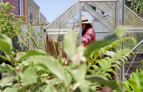 SAN FRANCISCO URBAN GARDENER