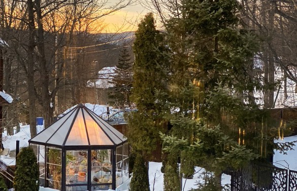 Winter Greenhouse Gardening