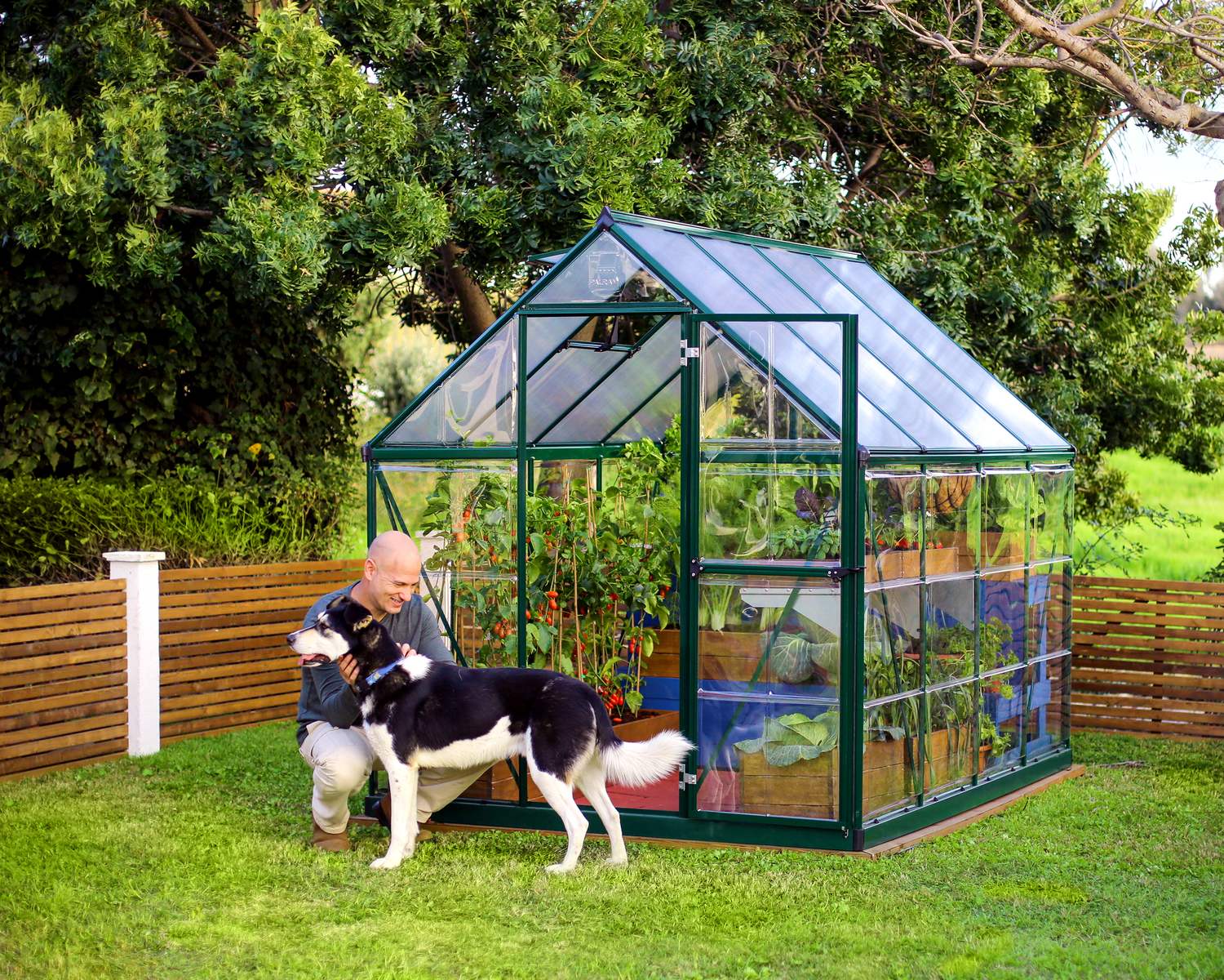 6ft x 8ft green Hybrid greenhouse with an aluminum frame and clear polycarbonate panels, nestled in a lush garden filled with vibrant plants