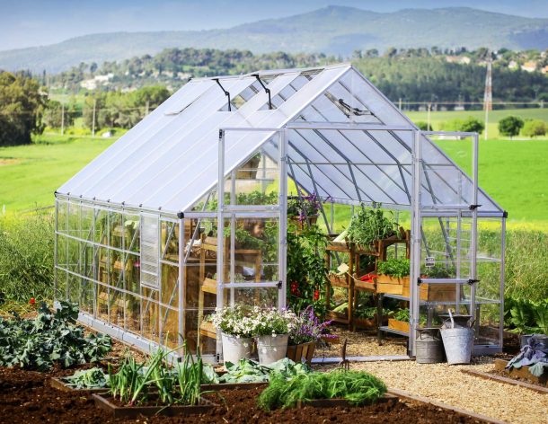 10ft x 16ft silver Balance greenhouse with an aluminum frame and clear polycarbonate panels, set in a garden environment with plants inside