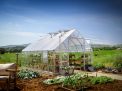 10ft x 16ft silver Balance greenhouse with an aluminum frame and clear polycarbonate panels, set in a garden environment with plants inside