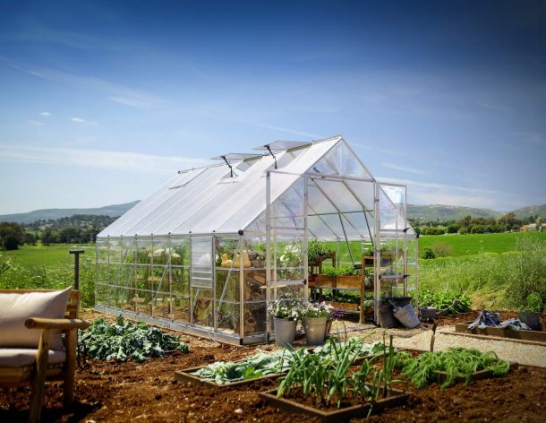 10ft x 16ft silver Balance greenhouse with an aluminum frame and clear polycarbonate panels, set in a garden environment with plants inside