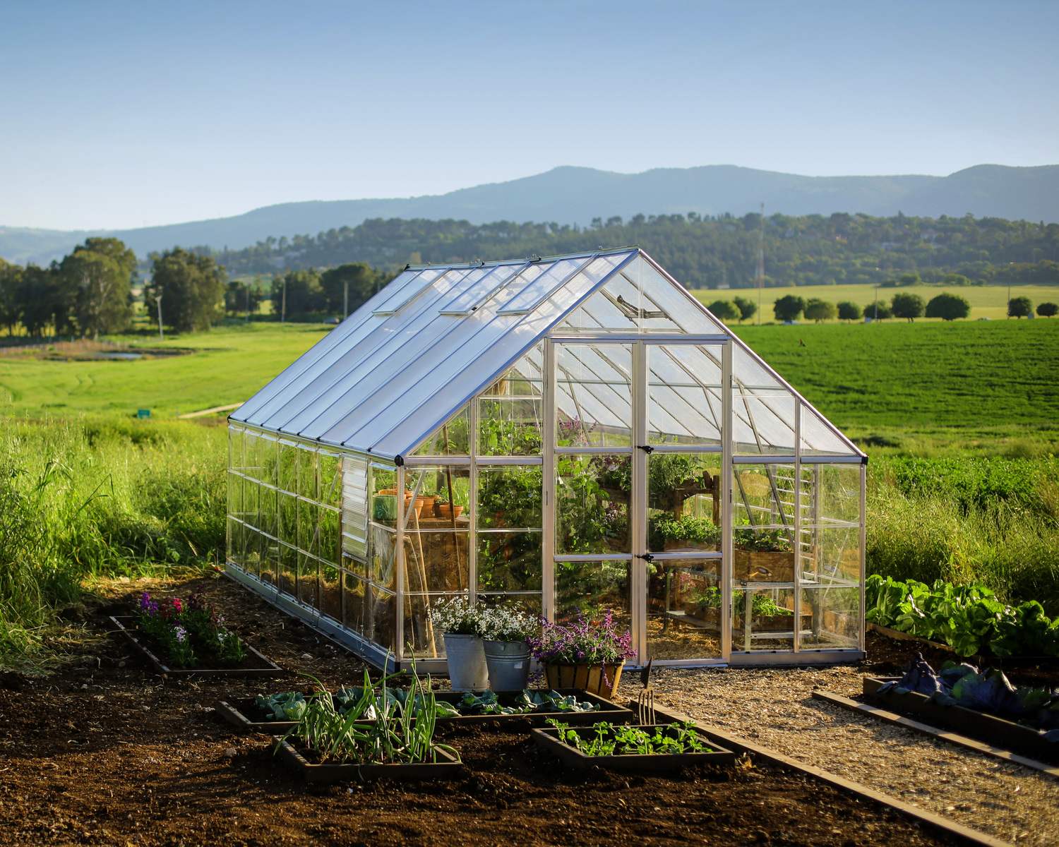 10ft x 16ft silver Balance greenhouse with an aluminum frame and clear polycarbonate panels, set in a garden environment with plants inside