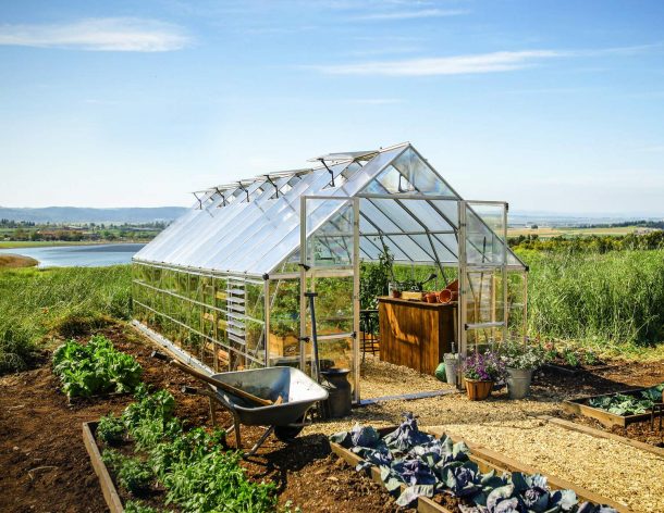 10ft x 20ft silver Balance greenhouse with aluminum frame and clear polycarbonate panels, set in a garden environment with plants inside