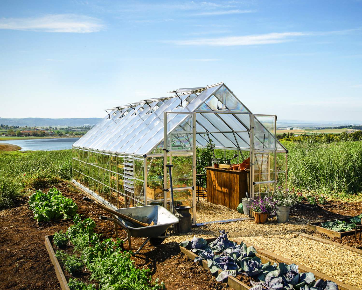 10ft x 20ft silver Balance greenhouse with aluminum frame and clear polycarbonate panels, set in a garden environment with plants inside