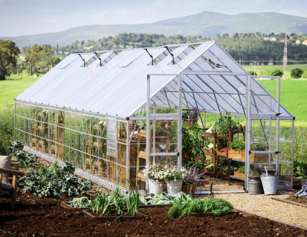 10ft x 32ft silver Balance greenhouse with an aluminum frame and clear polycarbonate panels, offering a spacious gardening space