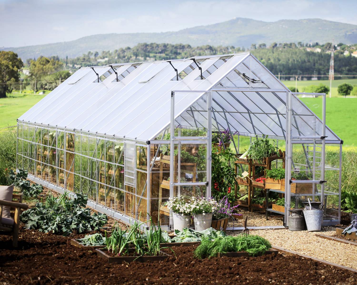 10ft x 32ft silver Balance greenhouse with an aluminum frame and clear polycarbonate panels, offering a spacious gardening space