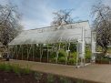 10ft x 20ft silver Balance greenhouse with aluminum frame and clear polycarbonate panels, set in a garden environment with plants inside