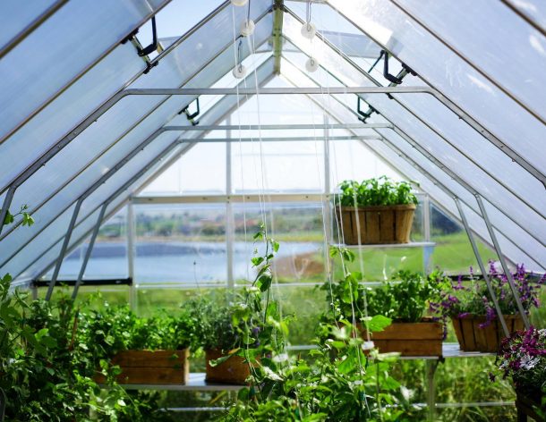 Serre de jardin en aluminium et polycarbonate Balance – Gris - Canopia