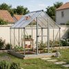 Palram-Canopia_Greenhouses_Nature_6x6_Silver_Main_1_FR