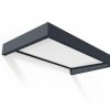 Door Awning Sopia 3 ft. x 5 ft. Grey Structure & Clear Glazing