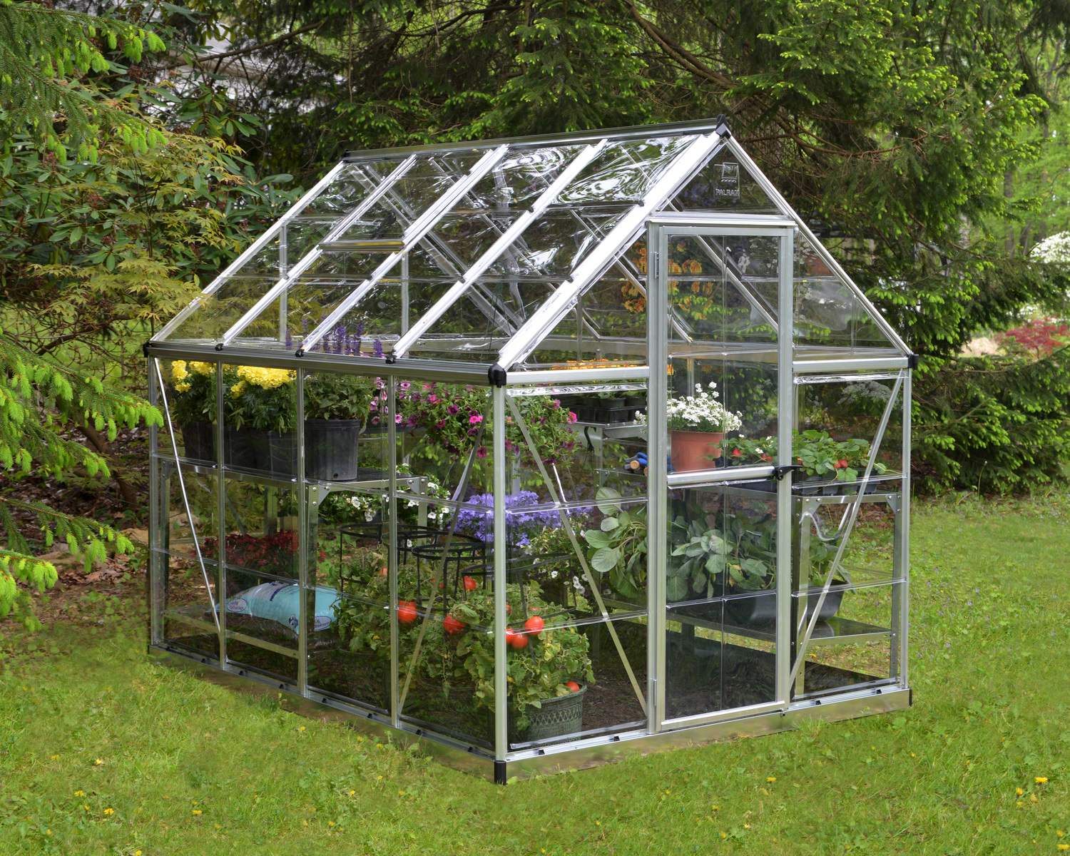 6ft x 8ft silver Harmony greenhouse featuring clear polycarbonate panels and a sturdy aluminum frame, nestled among vibrant flowers and greenery